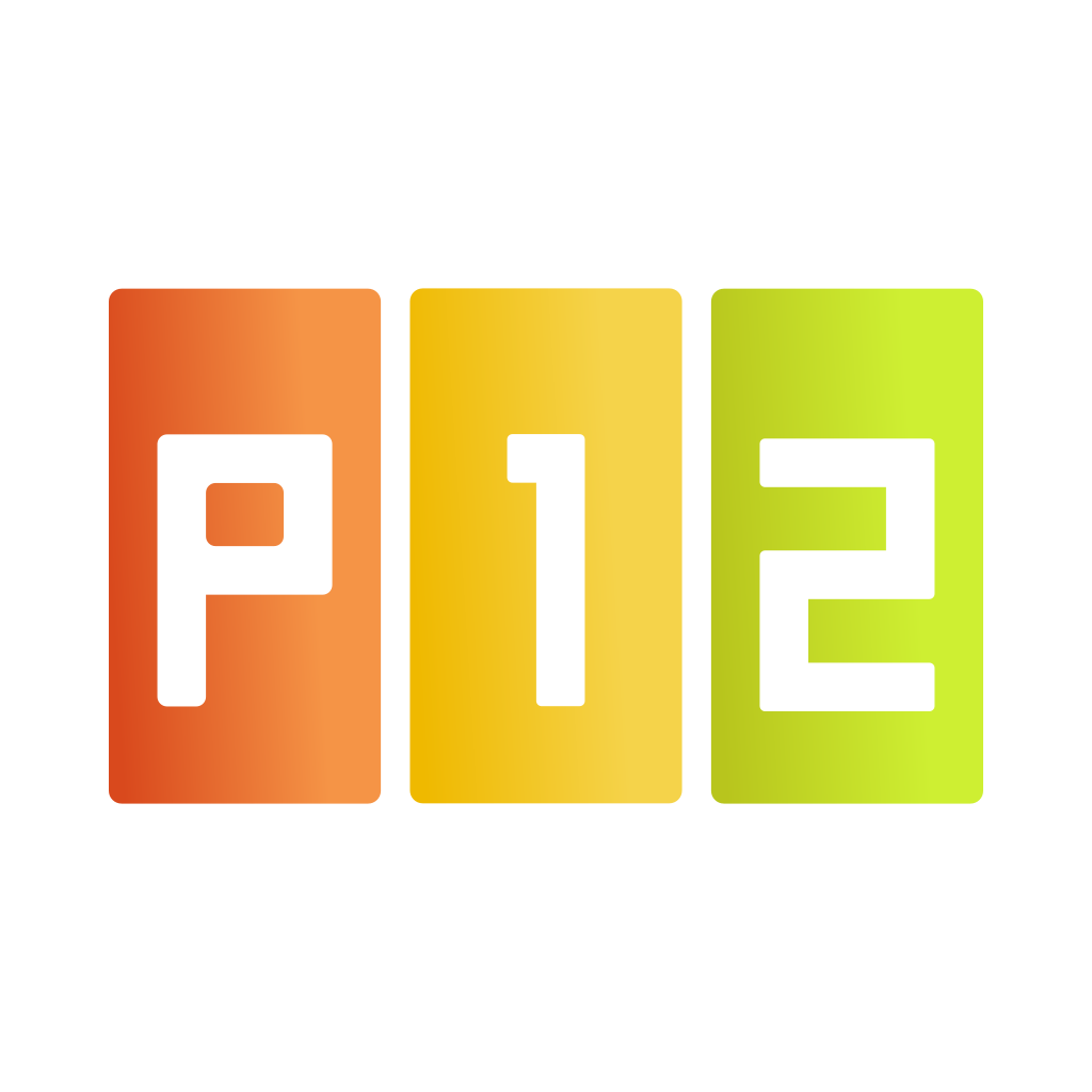 Play12 logo